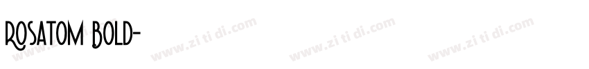 Rosatom Bold字体转换